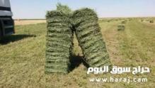 برسيم صافي درجة اولى