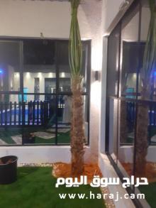 للبيع نخل